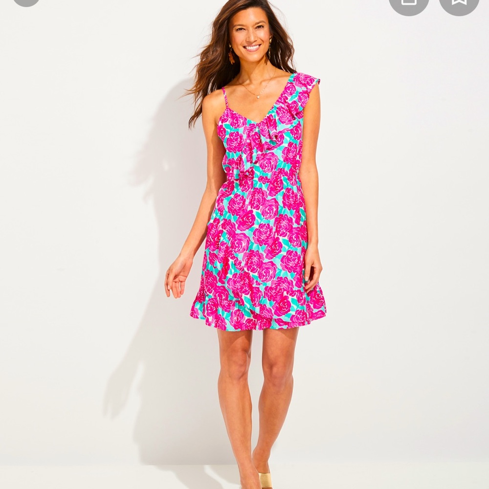 NWT Vineyard Vines Painted Rose 🌹 Ruffle Kentucky Derby 🐎 dress